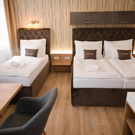 Guest house U Novaku